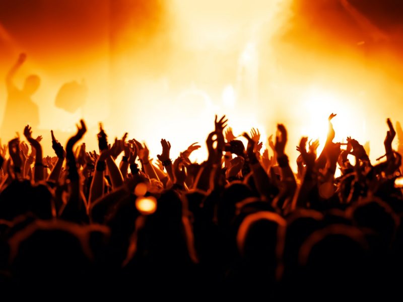 WhatBands new website online!
